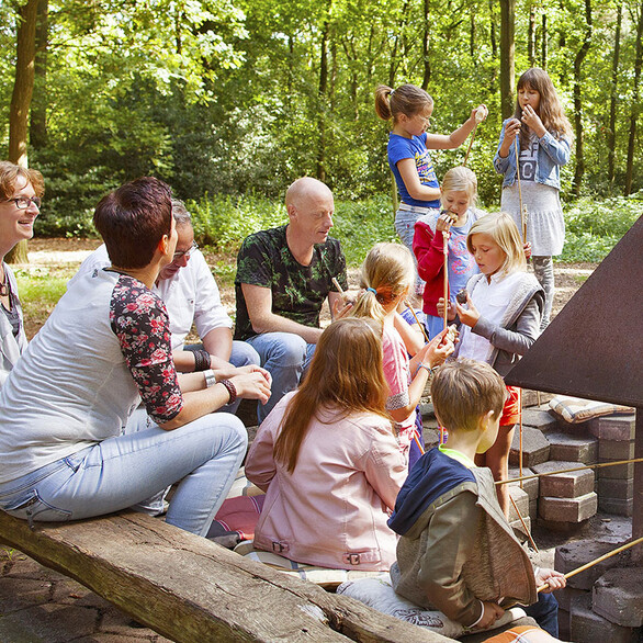 Scholen & Groepen