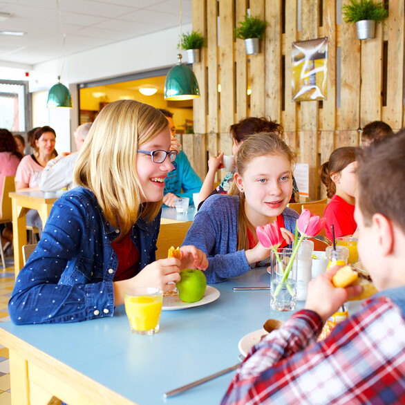 Schulen & Gruppen